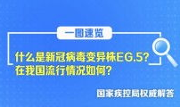 精品视频国产在线,在线观看的视听盛宴