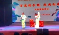 唱戏视频,探寻传统戏曲艺术的魅力瞬间