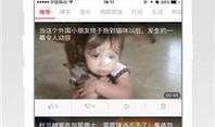 鲁啊鲁视频在线观看,带你领略精彩瞬间，在线观看无限欢乐