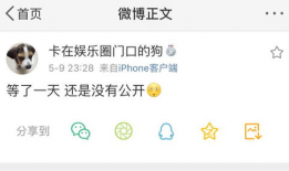 良心营销号吃瓜爆料文案,吃瓜爆料背后的真相与内幕