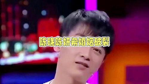 八卦吃瓜娱乐圈陈晓,陈晓的娱乐圈风云录